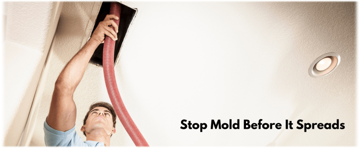 Air Duct Mold Removal in Culver City CA